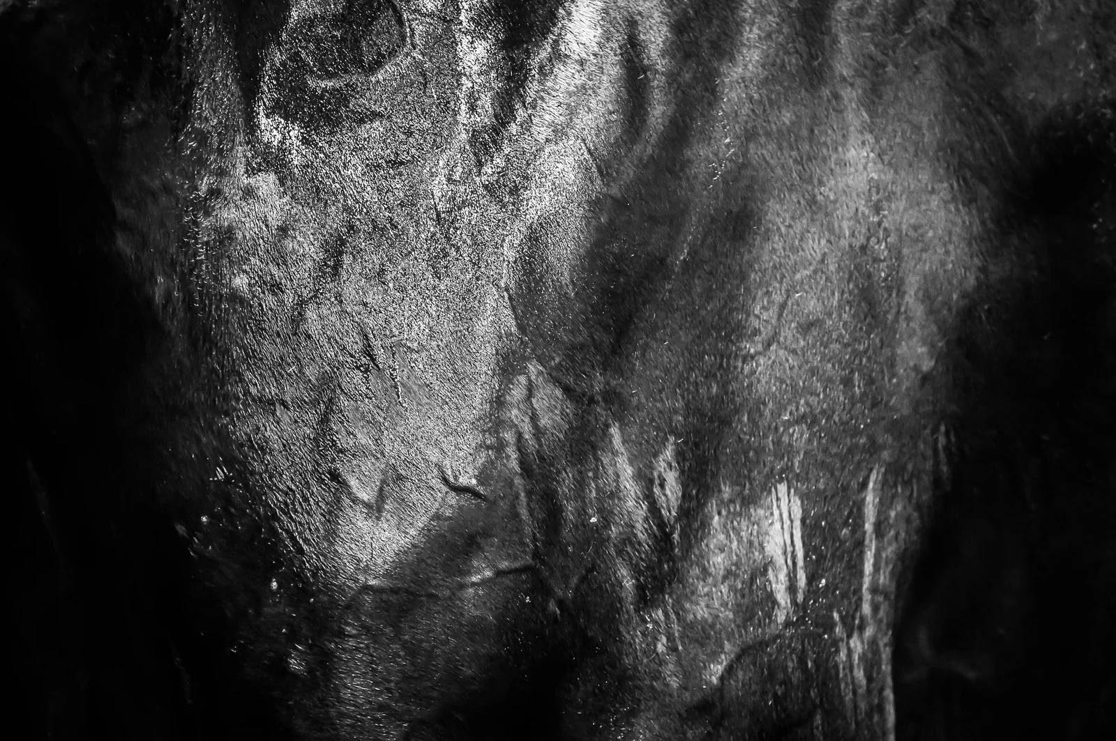untitled image